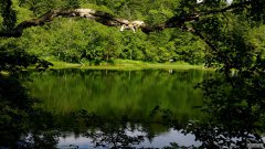 汉斯顿净水器移动官网,2017年净水器十大品牌排名,2018年净水品加盟代理招商--深圳市汉斯顿净水设备有限公司